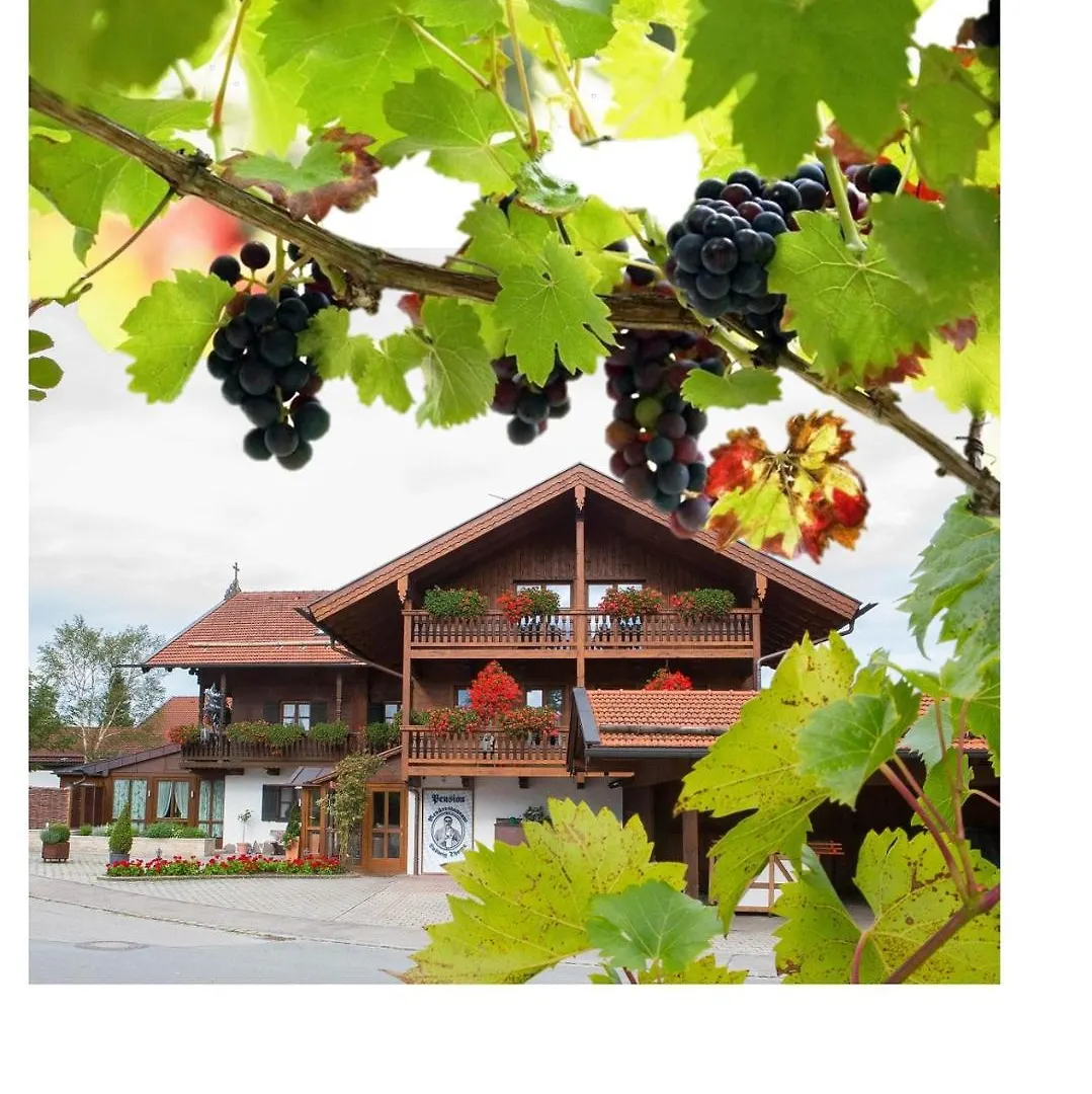 Guest house Pension Ludwig Thoma Otterfing Germany